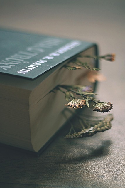 Blackjack Oyun Rehberi ve İpuçları - görsel 2